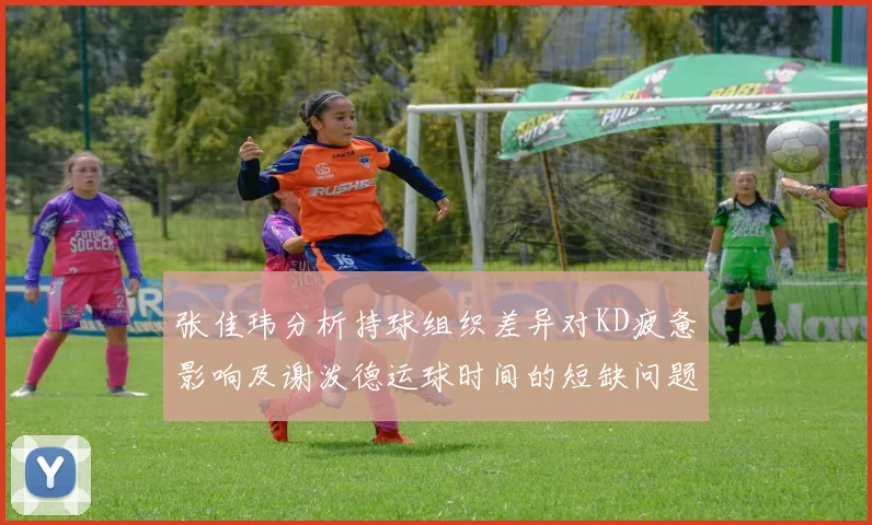 张佳玮分析持球组织差异对KD疲惫影响及谢泼德运球时间的短缺问题