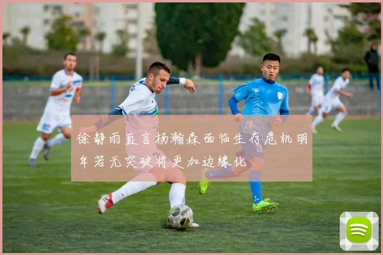 徐静雨直言杨瀚森面临生存危机明年若无突破将更加边缘化