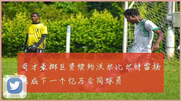 奇才豪掷巨资续约沃尔比尔特雷杨或成下一个亿万合同球员