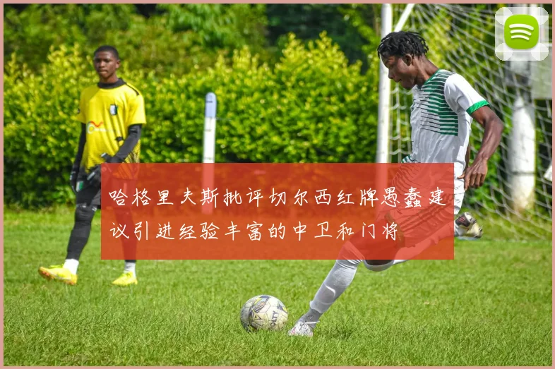 哈格里夫斯批评切尔西红牌愚蠢建议引进经验丰富的中卫和门将